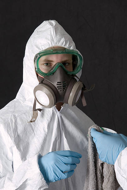 Best Environmental Consulting for Mold Prevention  in London, CA